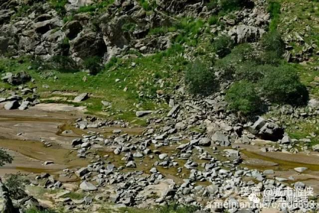 大美巴音布鲁克大草原（美丽的杜尔伯特神州草原）(49)