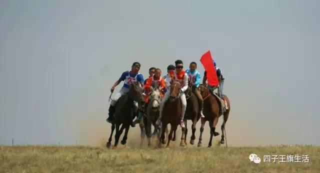 大美巴音布鲁克大草原（美丽的杜尔伯特神州草原）(32)