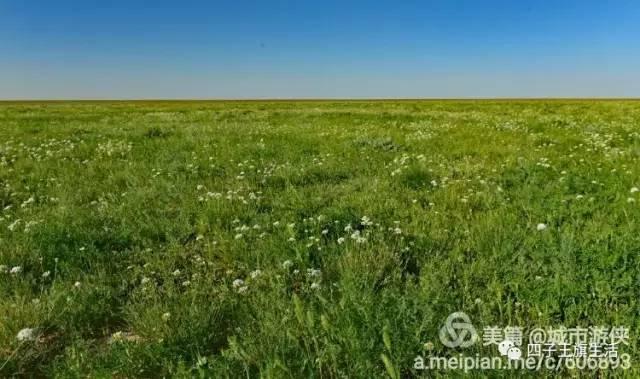 大美巴音布鲁克大草原（美丽的杜尔伯特神州草原）(83)