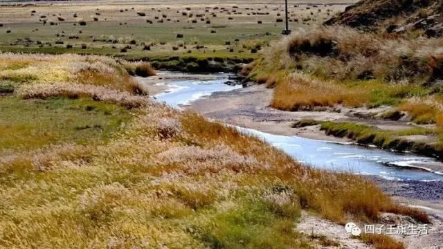 大美巴音布鲁克大草原（美丽的杜尔伯特神州草原）(9)
