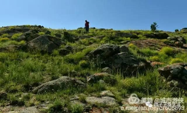 大美巴音布鲁克大草原（美丽的杜尔伯特神州草原）(51)
