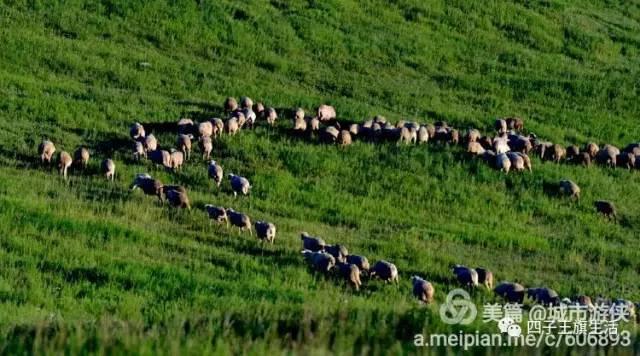 大美巴音布鲁克大草原（美丽的杜尔伯特神州草原）(36)