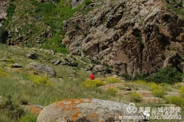 大美巴音布鲁克大草原（美丽的杜尔伯特神州草原）(50)