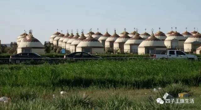 大美巴音布鲁克大草原（美丽的杜尔伯特神州草原）(28)