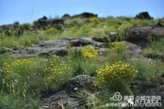 大美巴音布鲁克大草原（美丽的杜尔伯特神州草原）(47)