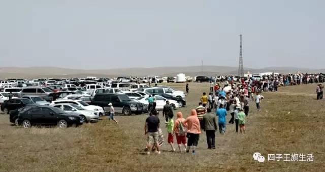 大美巴音布鲁克大草原（美丽的杜尔伯特神州草原）(33)