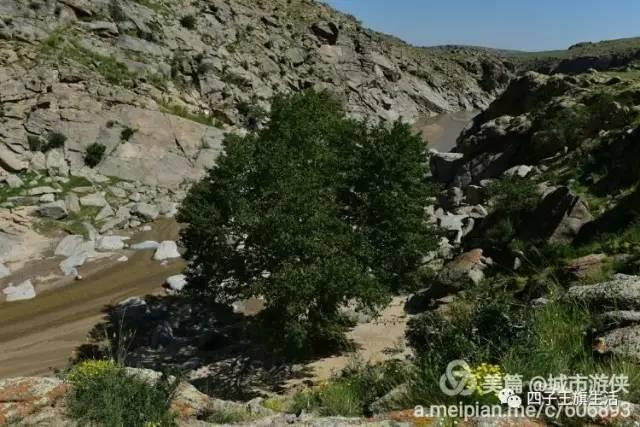 大美巴音布鲁克大草原（美丽的杜尔伯特神州草原）(48)