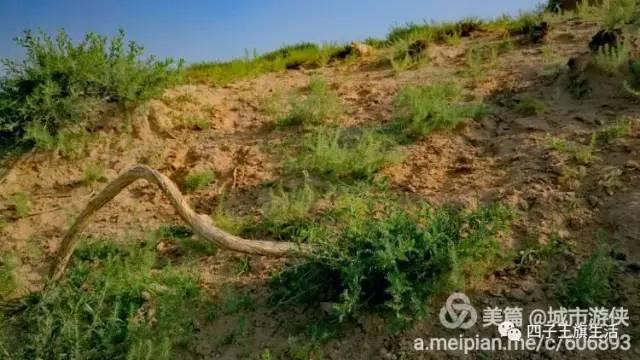 大美巴音布鲁克大草原（美丽的杜尔伯特神州草原）(61)