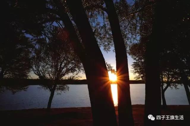 大美巴音布鲁克大草原（美丽的杜尔伯特神州草原）(20)
