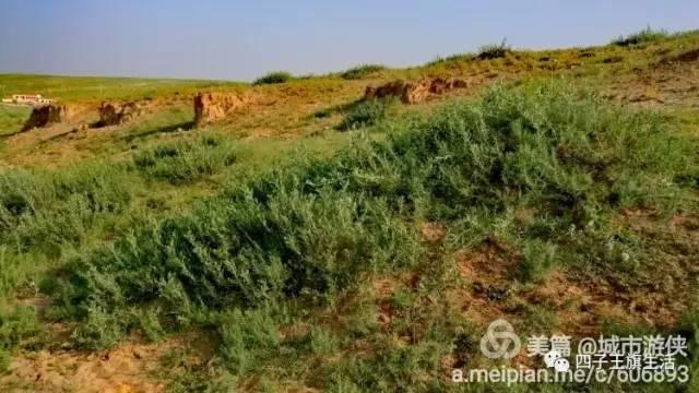大美巴音布鲁克大草原（美丽的杜尔伯特神州草原）(68)