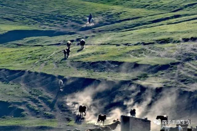 大美巴音布鲁克大草原（美丽的杜尔伯特神州草原）(23)