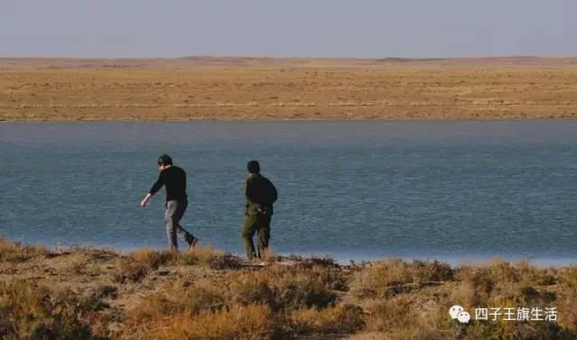 大美巴音布鲁克大草原（美丽的杜尔伯特神州草原）(55)