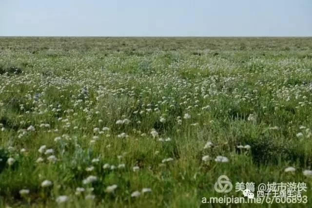 大美巴音布鲁克大草原（美丽的杜尔伯特神州草原）(87)
