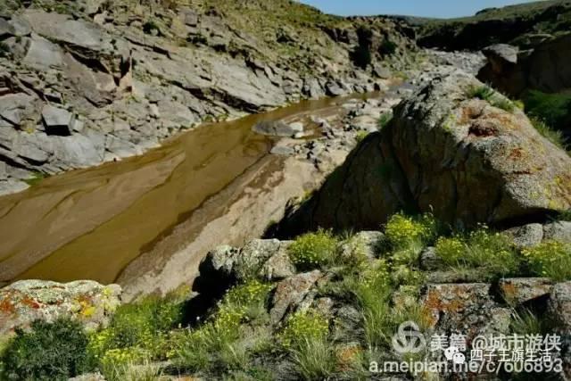 大美巴音布鲁克大草原（美丽的杜尔伯特神州草原）(46)