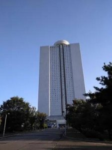 ​朝鲜葡萄酒(朝鲜葡萄酒图)