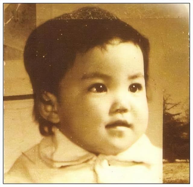 当年李亚鹏为什么要与王菲结婚 李亚鹏离婚后娶妻生子(4)