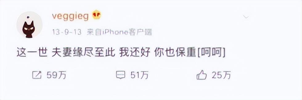 当年李亚鹏为什么要与王菲结婚 李亚鹏离婚后娶妻生子(27)