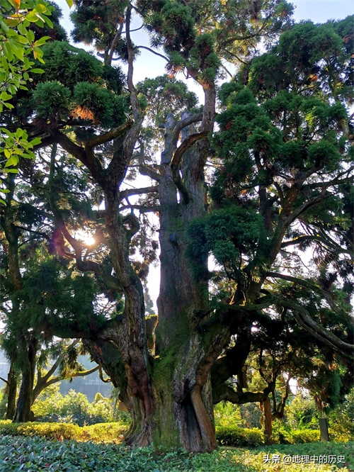 井邑白云间，岩城远带山：福州鼓岭风景欣赏