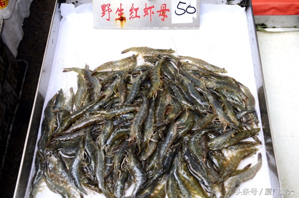厦门八市海鲜到底都有啥，为什么人们扎堆儿抢着买