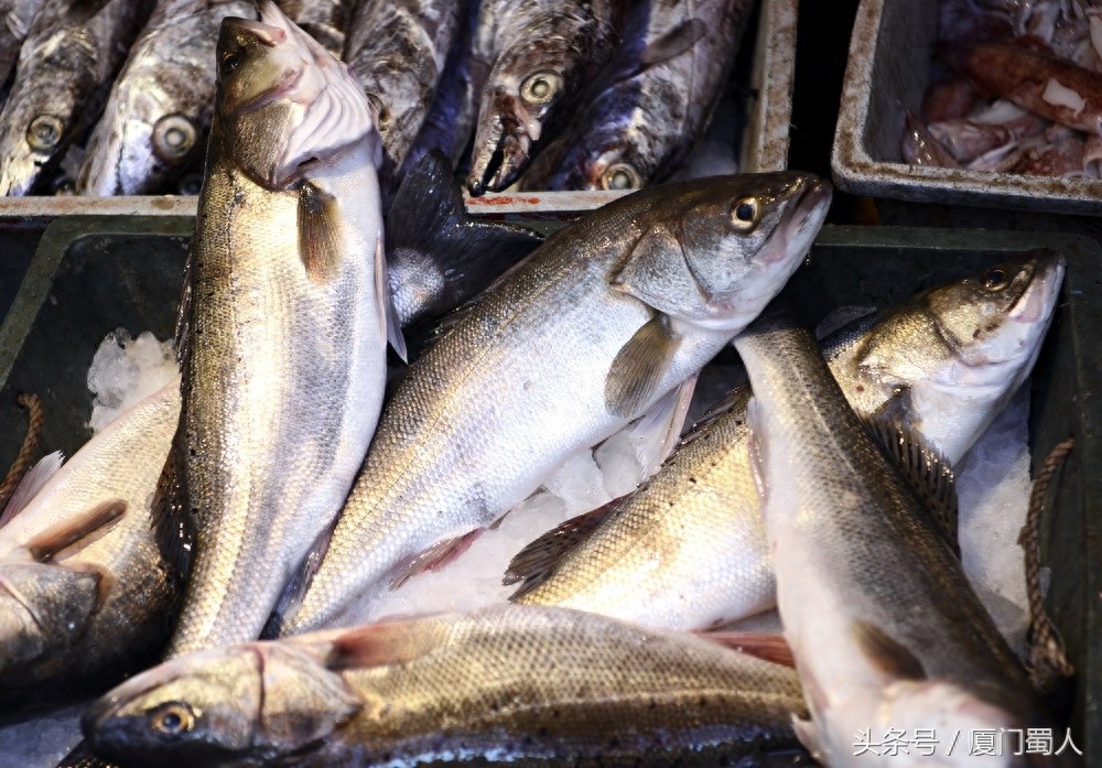 厦门八市海鲜到底都有啥，为什么人们扎堆儿抢着买