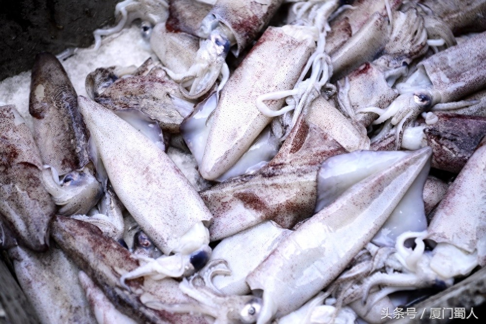 厦门八市海鲜到底都有啥，为什么人们扎堆儿抢着买