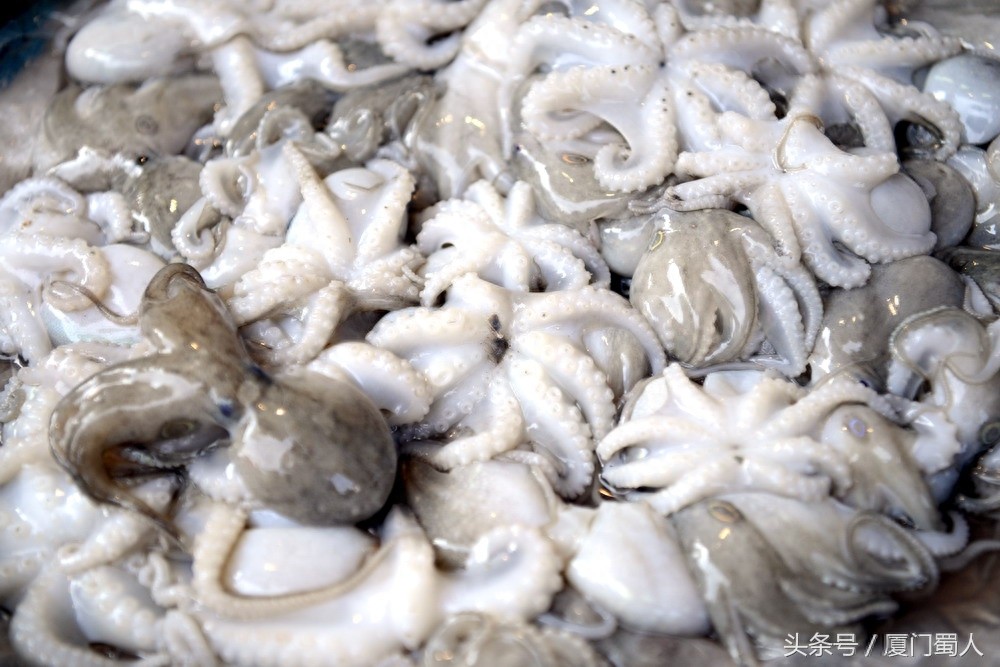 厦门八市海鲜到底都有啥，为什么人们扎堆儿抢着买