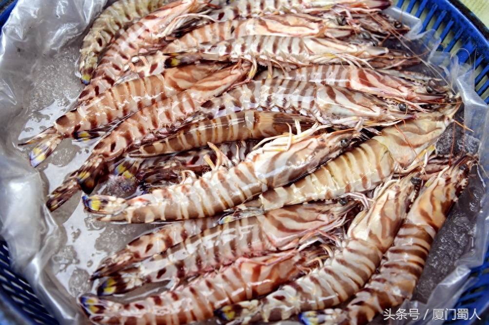厦门八市海鲜到底都有啥，为什么人们扎堆儿抢着买