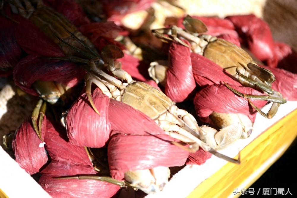 厦门八市海鲜到底都有啥，为什么人们扎堆儿抢着买