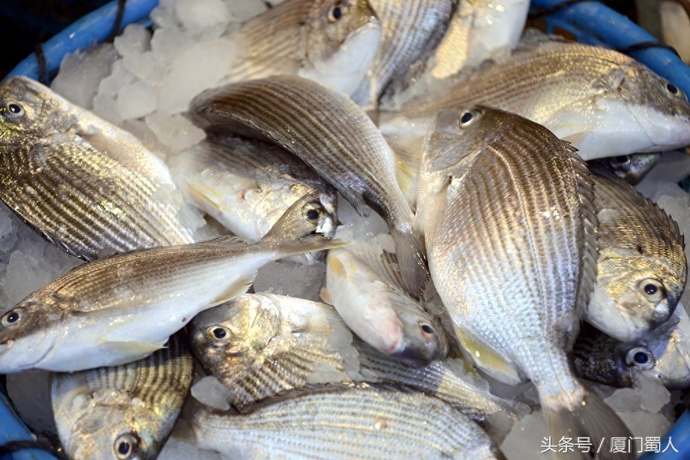 厦门八市海鲜到底都有啥，为什么人们扎堆儿抢着买