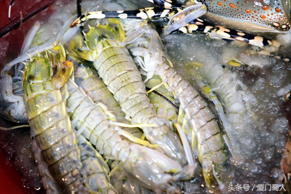 厦门八市海鲜到底都有啥，为什么人们扎堆儿抢着买