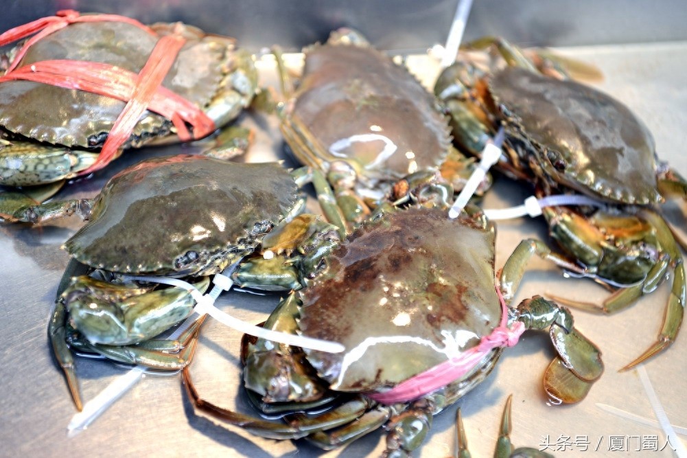 厦门八市海鲜到底都有啥，为什么人们扎堆儿抢着买