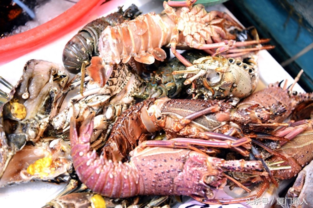 厦门八市海鲜到底都有啥，为什么人们扎堆儿抢着买