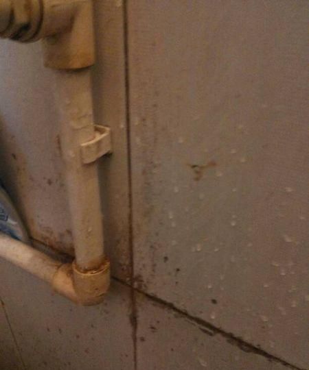 卫生间地板砖上的顽固污渍怎么去除