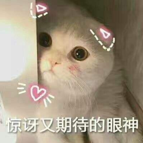 博来恩幼猫驱虫（关于猫咪体内驱虫药大盘点）