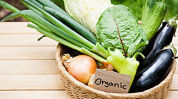 有机和无机的区别,什么叫有机和无机区别蔬菜图3
