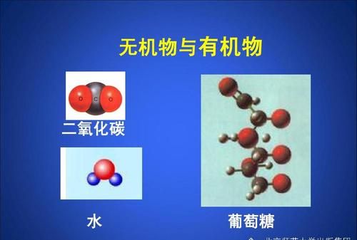 有机物和无机物的区别
