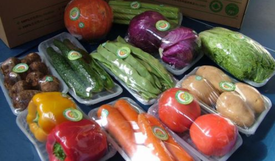 有机和无机的区别,什么叫有机和无机区别蔬菜图4