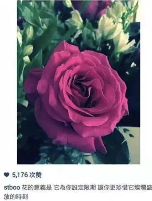 方力申旧爱邓丽欣爆出恋情：有的人就算再爱，也只能陪你走一程