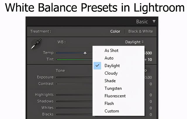如何准确设置白平衡（如何理解及设置白平衡）(11)