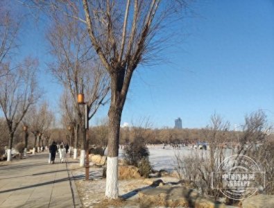 ​“三九”前冷后暖，“四九”波动回升