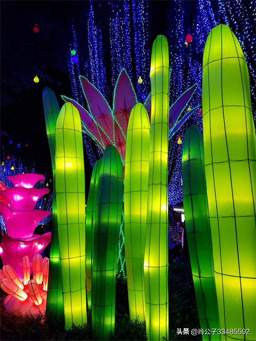 2020惠州西湖花灯会美爆了