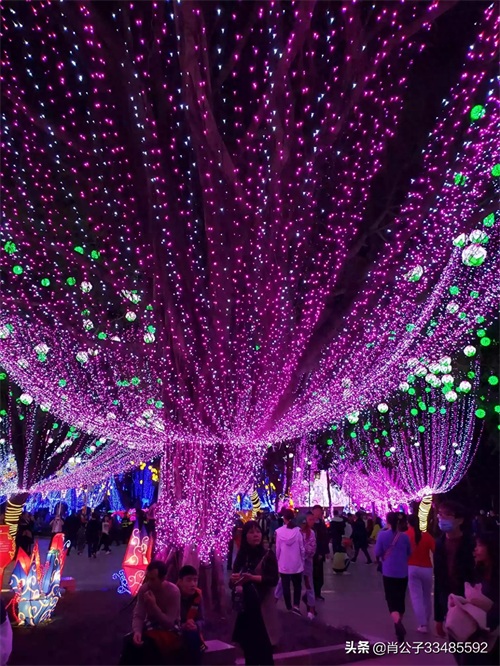2020惠州西湖花灯会美爆了