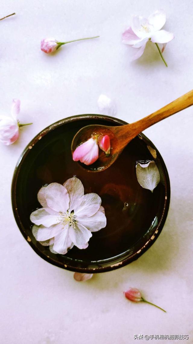 花的拍摄技巧图解(秘籍在此用好这7个技巧)(4)