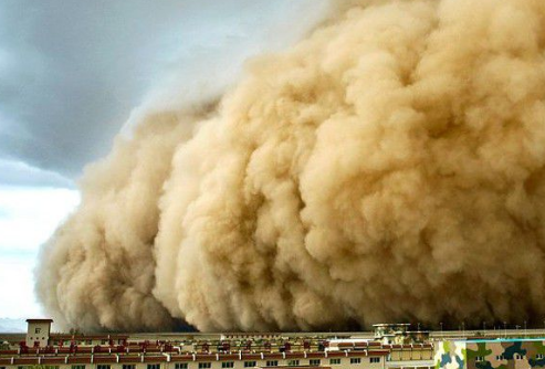 如何降低风的危害,减轻台风危害的措施高中知识图4