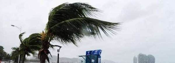 如何降低风的危害,减轻台风危害的措施高中知识图2