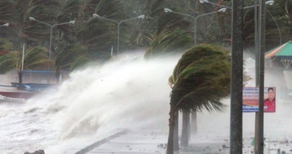 如何降低风的危害,减轻台风危害的措施高中知识图3