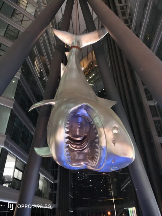 oppoa96手机怎么样（拥有均衡体验的小星环）