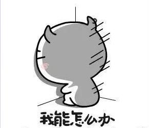 加拿大滑铁卢大学排名世界多少 其实滑铁卢才是加拿大最难进的大学(1)