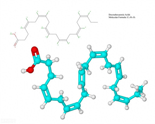 健身为什么没人吃羊肉(健身吃羊肉好吗)