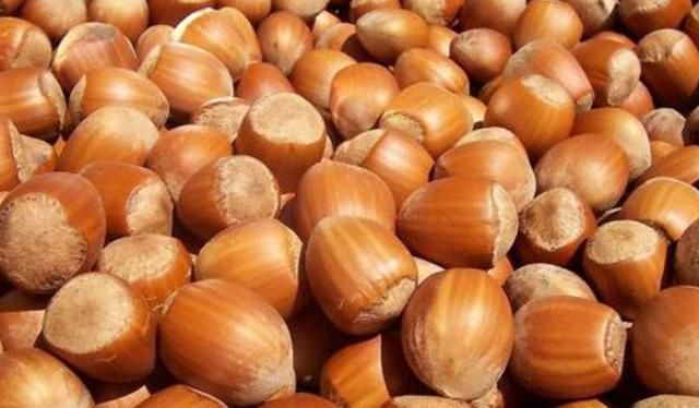 生生榛子怎么炒熟并开口的